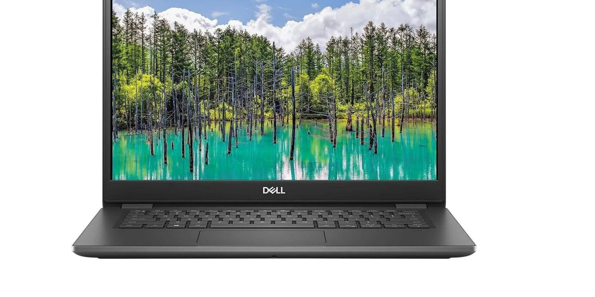 Dell Latitude 3410 14