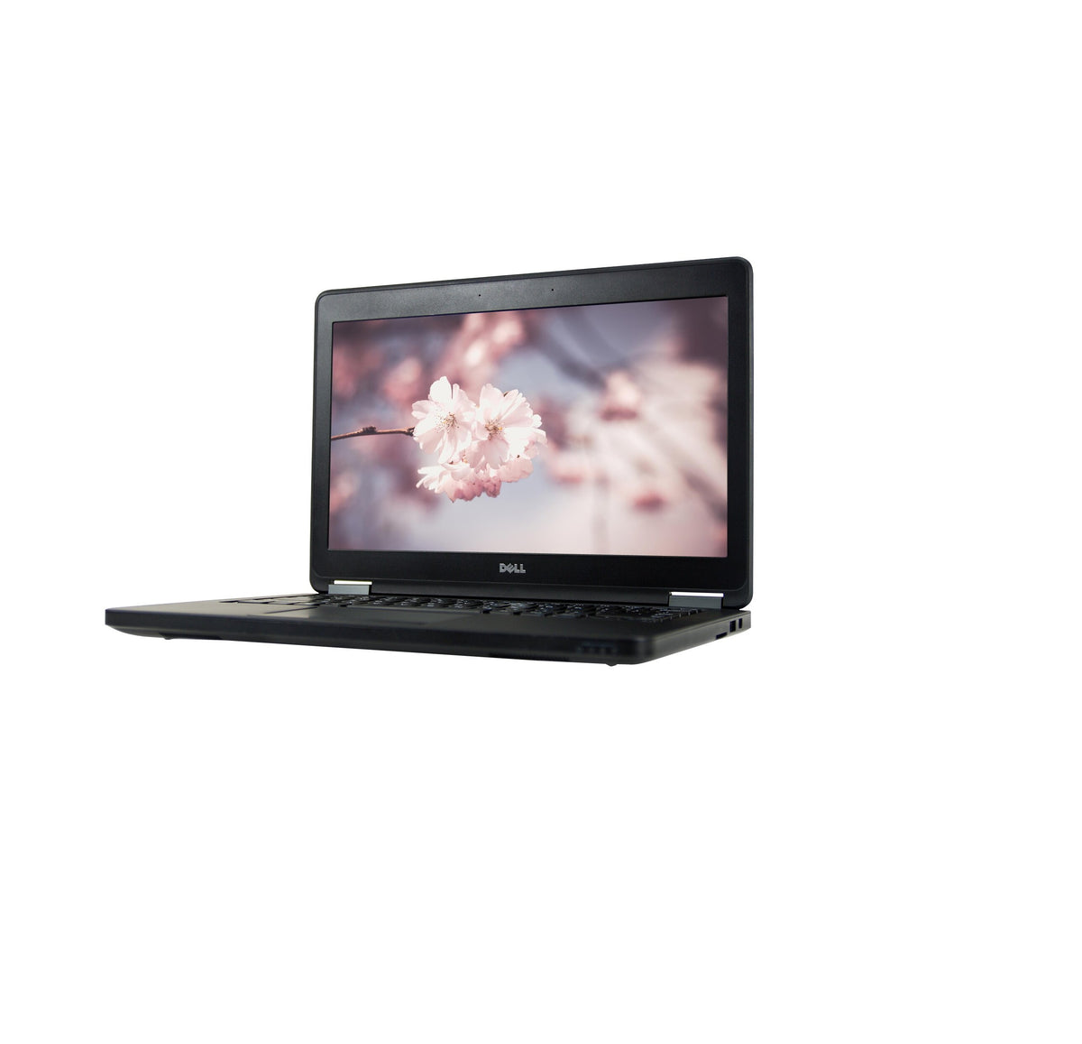 Dell Latitude E5250 12.5